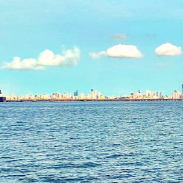 Jawaharlal Nehru Port To Establish Two Green Parks, Aiming To Become A Smart Port In A Year